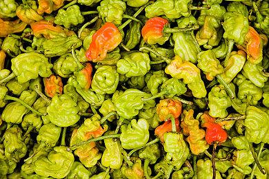 《黑神话：悟空》上B站春晚 深度定制黑神话音乐